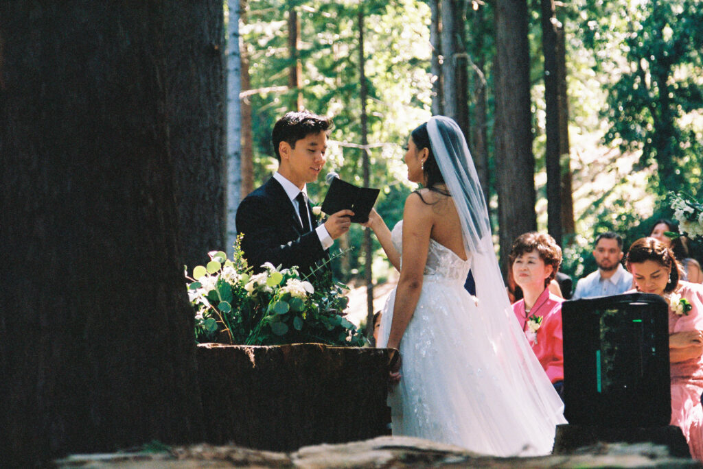 California wedding captured on 35mm film and super 8 video. 